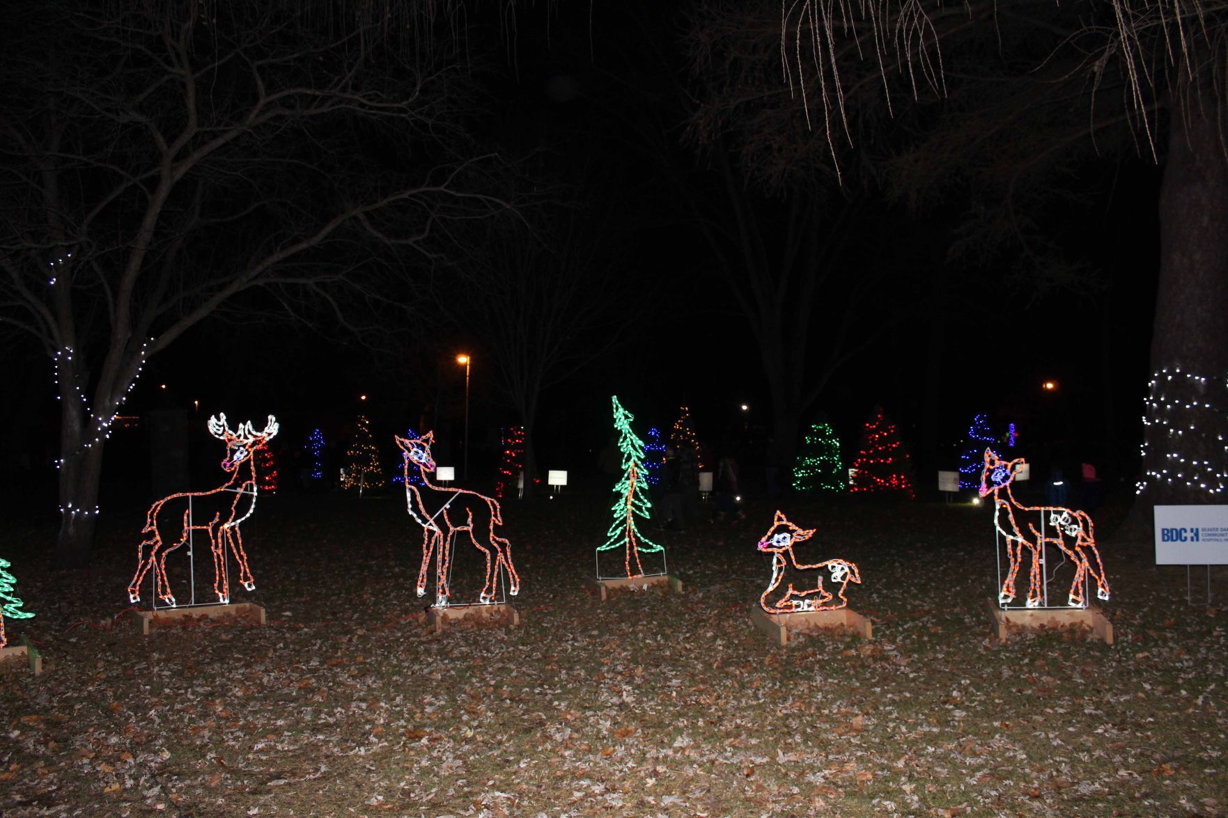 Swan City Park